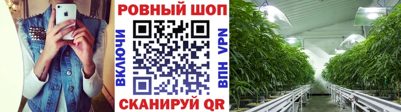Купить наркотики цена Нарьян-Мар Галлюциногенные грибы  APVP  АМФ  Меф мяу мяу  МАРИХУАНА 