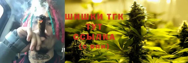 ECSTASY Пересвет
