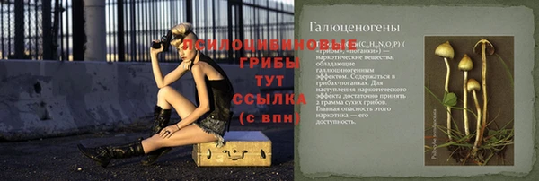 сатива Покачи