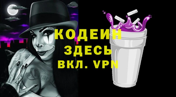 ECSTASY Пересвет