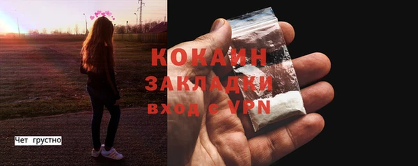 сатива Покачи