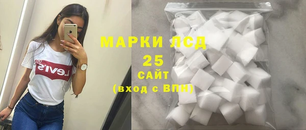 ECSTASY Пересвет
