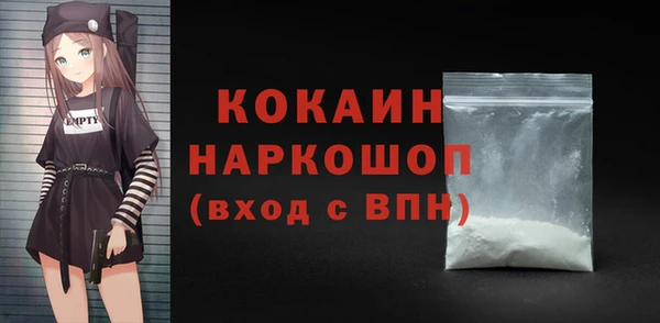 сатива Покачи