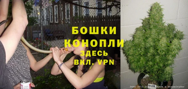 бошки Пестово