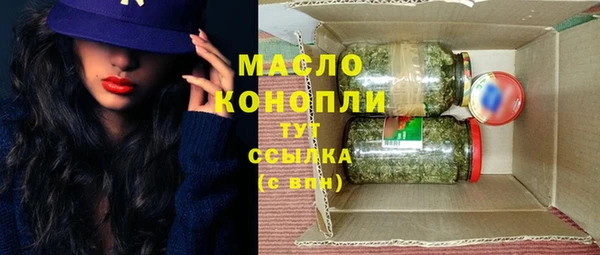ECSTASY Пересвет