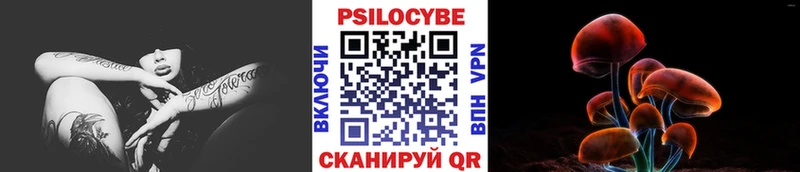 купить   Нарьян-Мар  Псилоцибиновые грибы Magic Shrooms 