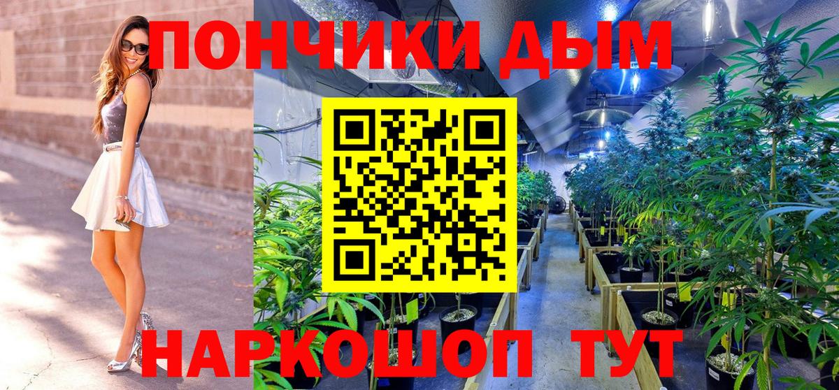 Галлюциногенные грибы Нарьян-Мар