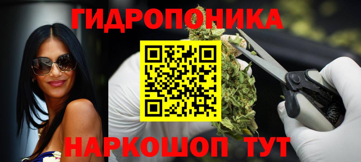 Бошки Шишки OG Kush Нарьян-Мар