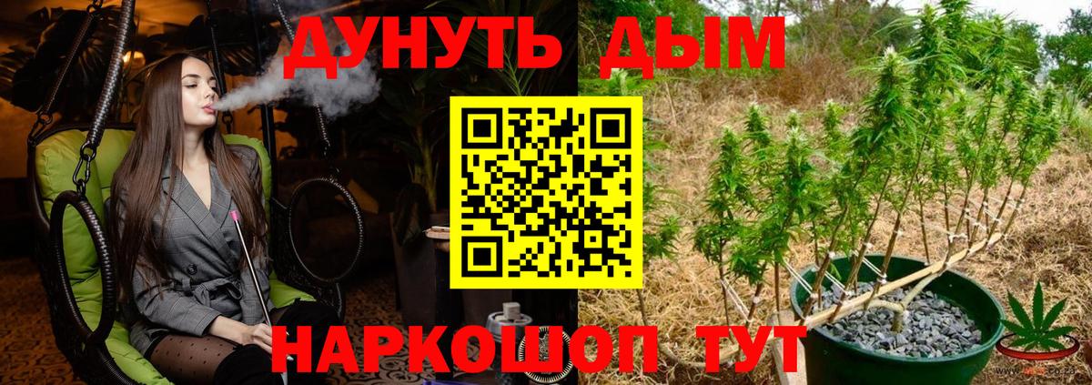 Шишки марихуана планчик  МАРИХУАНА MAZAR  Бошки Шишки тримм  Вход с VPN  Нарьян-Мар 